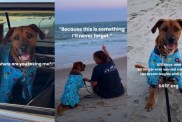 Human Takes Longest Resident Shelter Dog To Watch Her First Sunset & Show Life Beyond Kennel Walls