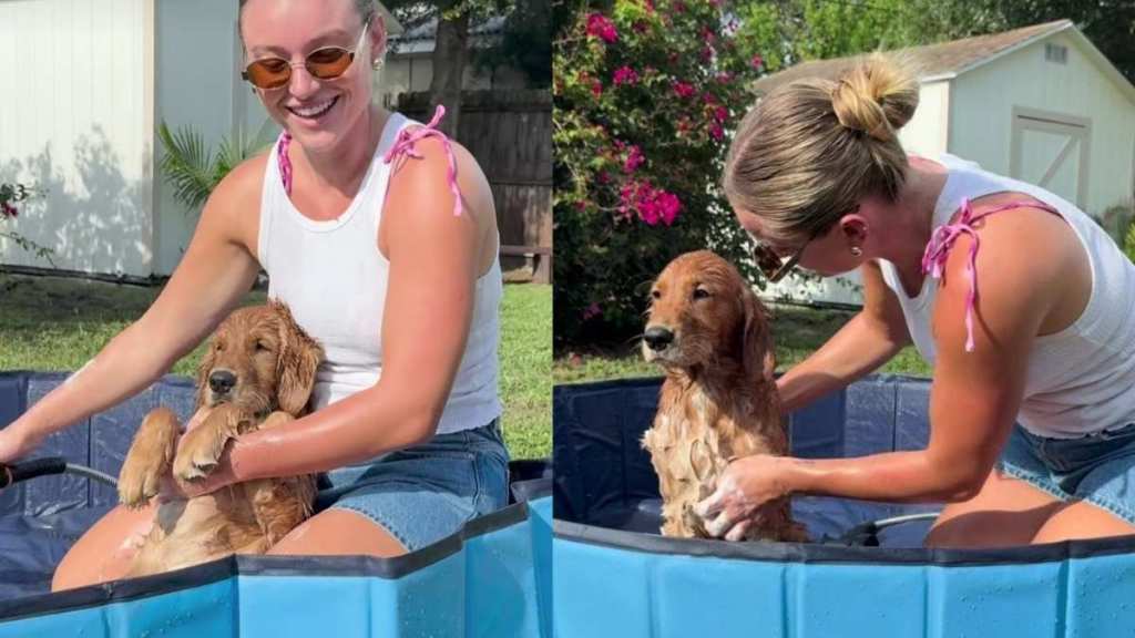 Golden Retriever Has Already Mastered the Art of Relaxing During Bath Time