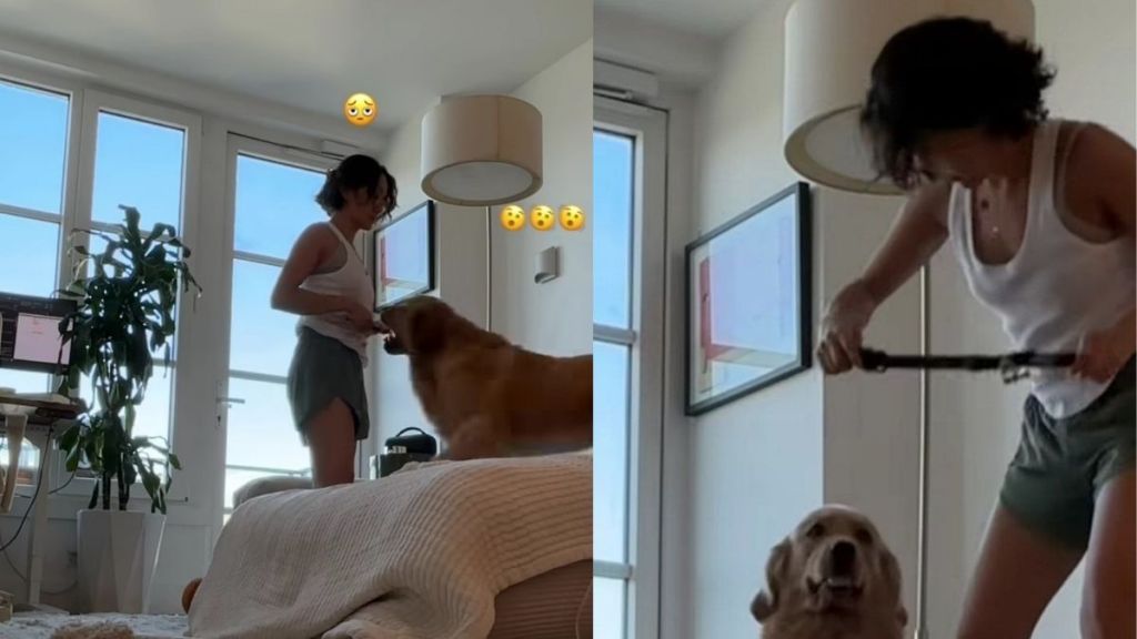 Golden Retriever Makes Putting His Collar on as Difficult as Humanly Possible