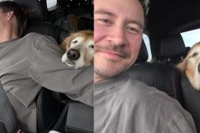 Senior Golden Retriever Crosses the Country With Dad & Just Wants To Rest Her Head Beside Him