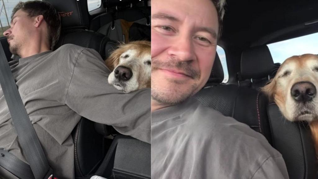 Senior Golden Retriever Crosses the Country With Dad & Just Wants To Rest Her Head Beside Him