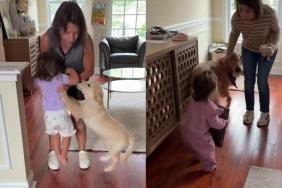 Golden Retriever Puppy Greets Grandma Just Like How Her Furry Brother Did