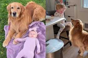 Golden Retriever Gets a New Job as Kids' Nanny — and He’s Completely Locked In