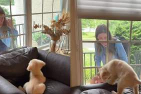 Golden Retriever Puppy Wakes up to Mom’s Love & Instantly Gives It Back