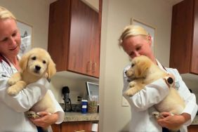 Golden Retriever Puppy’s First Vet Visit Takes an Unexpectedly Adorable Turn