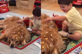 Toddler Turns Golden Retriever Into His Personal Canvas & There's No Complaints