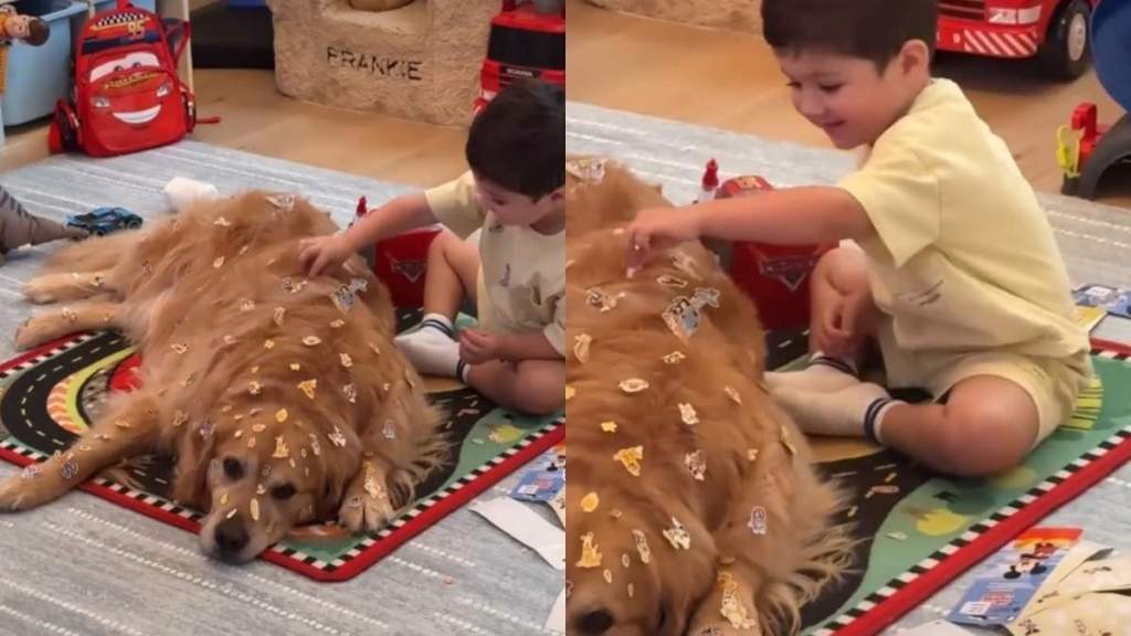 Toddler Turns Golden Retriever Into His Personal Canvas & There's No Complaints
