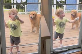 Golden Retriever Supervises Toddler Cleaning the Mess She Herself Created
