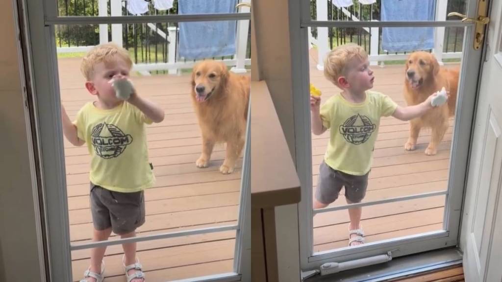 Golden Retriever Supervises Toddler Cleaning the Mess She Herself Created