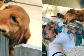 Golden Retriever toddler mom greet