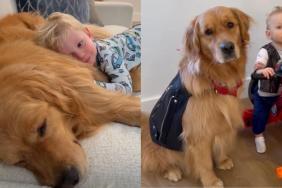 Mom Witnesses Golden Retriever Become Toddler’s ‘First Love’ One Core Memory at a Time