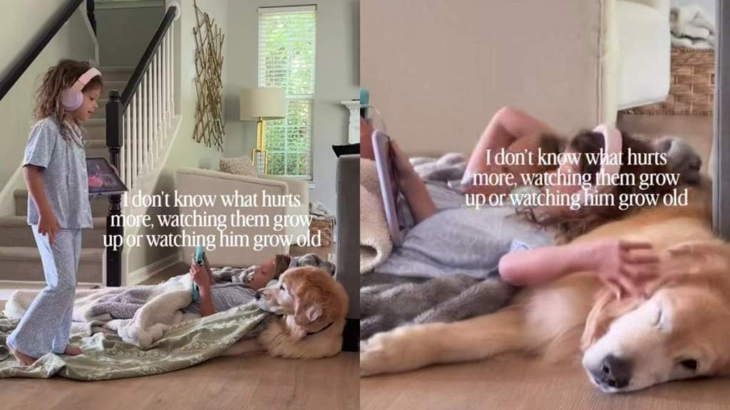 Two Sisters Use Golden Retriever as Their Personal Pillow & He Looks Like It Is All He Ever Wanted