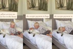 Dog Provides Toddler With Premium Service, but Not Without Imposing a Tax