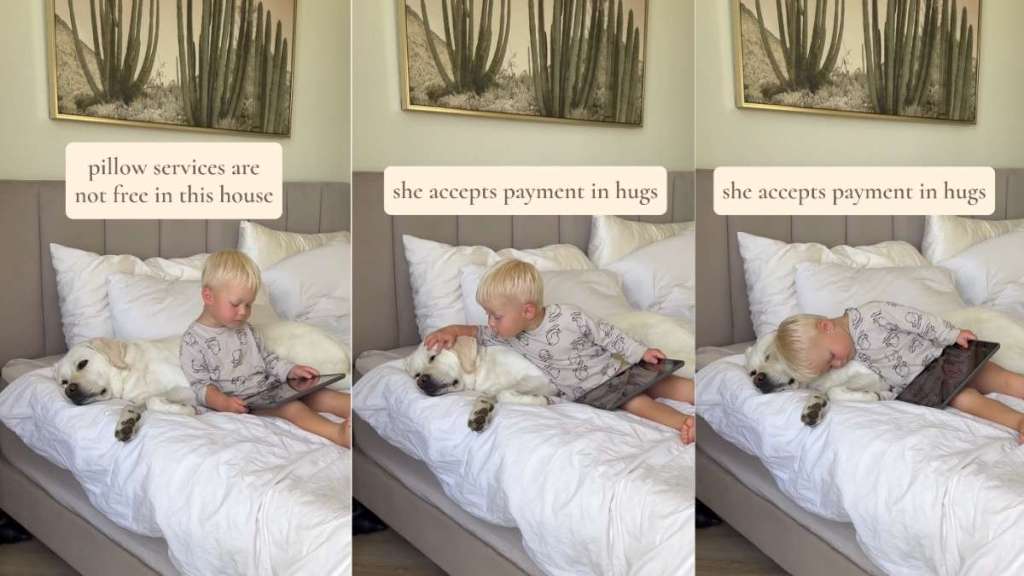 Dog Provides Toddler With Premium Service, but Not Without Imposing a Tax