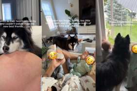 Dog’s Lonely Days End When Twin Babies Give Him What He Desperately Needed