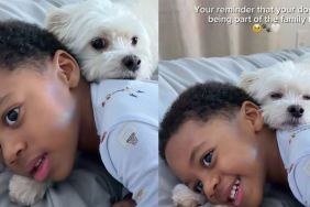 Rescue Dog Becomes Toddler’s Companion, Loving Every Moment He Gets To Be Part of the Family
