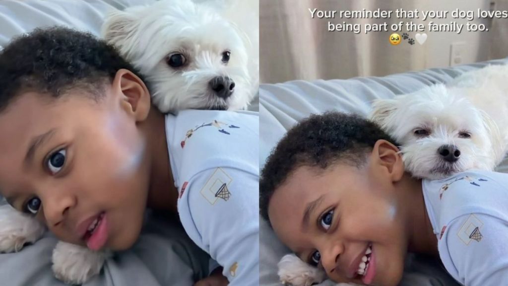 Rescue Dog Becomes Toddler’s Companion, Loving Every Moment He Gets To Be Part of the Family