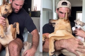 Rescue Dog Finds Himself Sharing Dad’s Lap With an Unexpected Guest, but Doesn’t Seem To Mind It