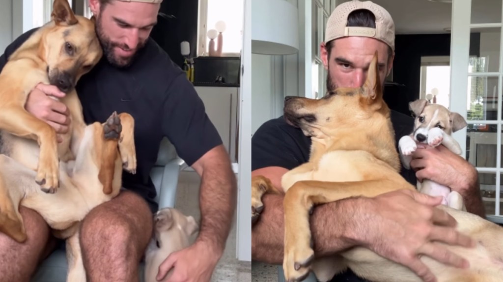 Rescue Dog Finds Himself Sharing Dad’s Lap With an Unexpected Guest, but Doesn’t Seem To Mind It