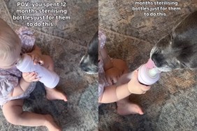 Mom Carefully Sterilized Every Bottle, Baby Has Decided the Dog Can Have a Lick