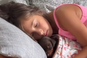 Puppy Sleeps Tucked Under Kid's Blanket While Another Dog Keeps Watch