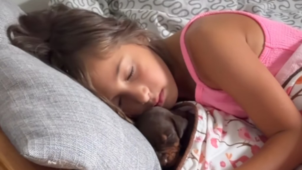 Puppy Sleeps Tucked Under Kid's Blanket While Another Dog Keeps Watch