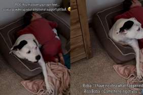 Dog Has No Idea Why Little Boy Is Crying, but Comforts Him Like He Understands Everything