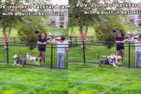 Dog's New Backyard Came With a Built-In Best Friend, and They're Never Apart