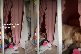 Dog Claims Kid's New Reading Nook So He Never Has to Let Her Out of His Sight