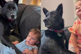 Dog Decides Being Near Baby Isn't Enough, He Needs to Physically Protect Her
