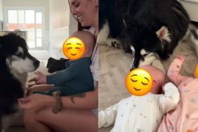Everyone Thinks These Rescue Dogs Could Be ‘Dangerous’ Around Babies, but Mom Knows Better