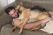rescue dog human cuddles