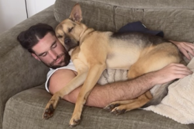 rescue dog human cuddles