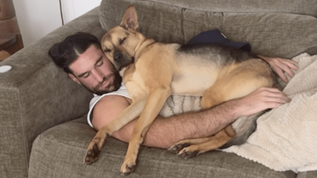 rescue dog human cuddles