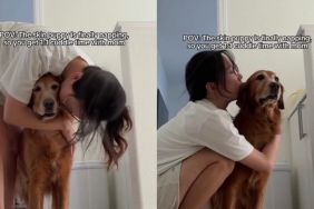 Senior Golden Retriever Waits for Newborn to Nap So She Can Finally Cuddle Mom