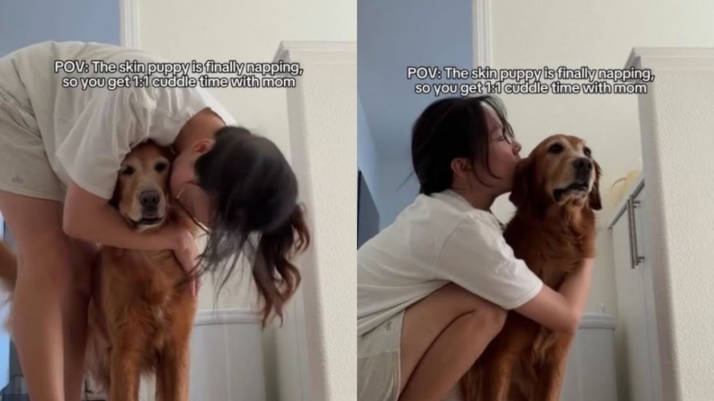 Senior Golden Retriever Waits for Newborn to Nap So She Can Finally Cuddle Mom