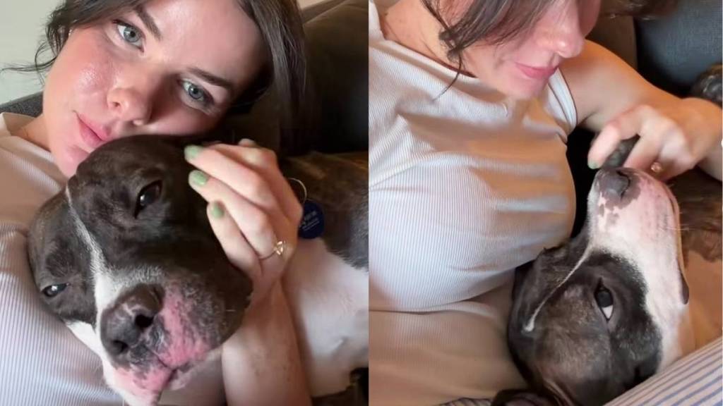 Shelter Dog Has Known Foster Mom for One Week but Loves Her Like It’s Been a Lifetime