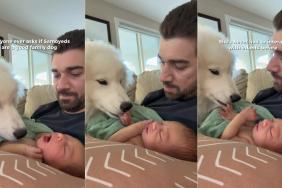 Human Is Left Emotional After Dog Finally Accepts Newborn Baby Into the Pack