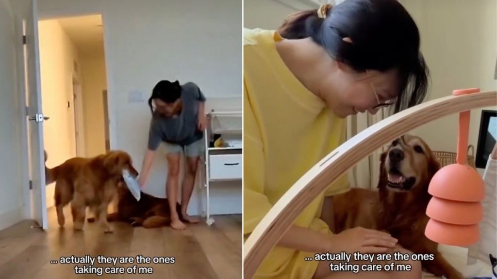 Golden Retrievers Help New Mom Through the Hardest Days of Postpartum