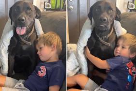Dog Sneaks Into Neighbor’s Home To Play With Toddler & His ‘Double Life’ Is Exhausting