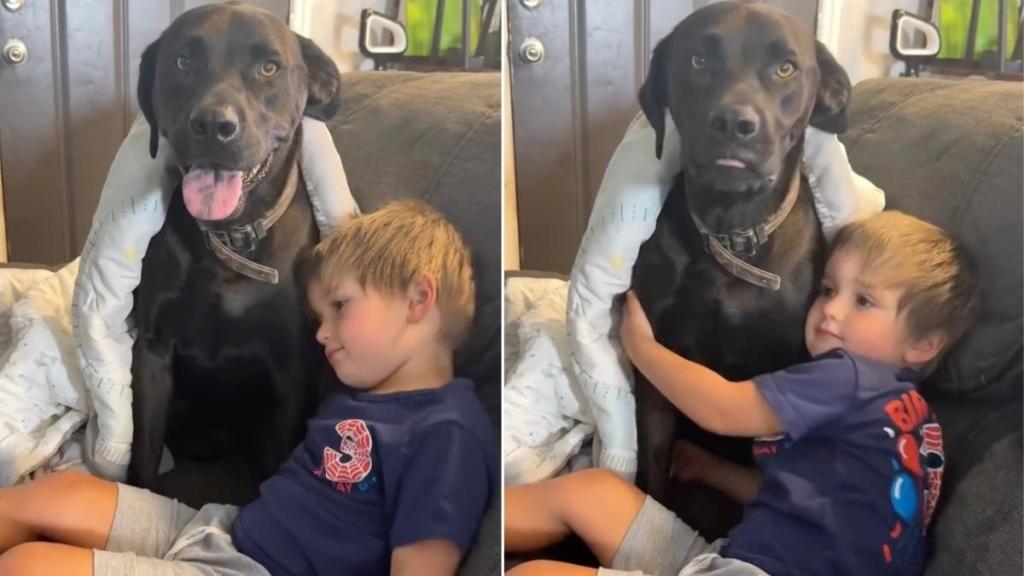 Dog Sneaks Into Neighbor’s Home To Play With Toddler & His ‘Double Life’ Is Exhausting