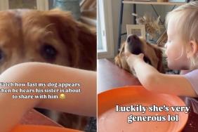 Toddler Saves a Bite of Food for Golden Retriever Who Knows When To Come Looking at the Table