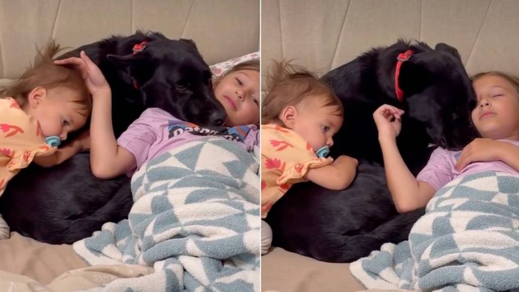 Dog Gets Sandwiched Between Two Kids Claiming Him as Their ‘Cuddle Buddy’