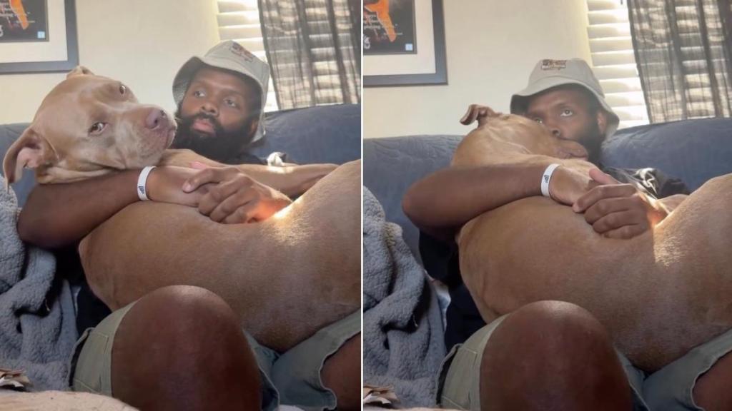 Human Becomes Dog’s Safe Place, Lets Her Snuggle Into His Lap & Show How Much He Means to Her