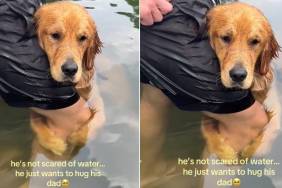 Golden Retriever Clings to Dad While Swimming in the Lake but It’s Not for This Expected Reason