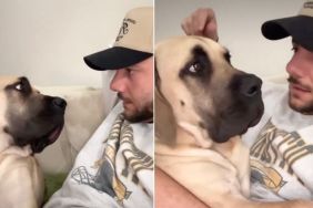 Dog Burps in Dad's Face While He's Lecturing Her About Personal Space