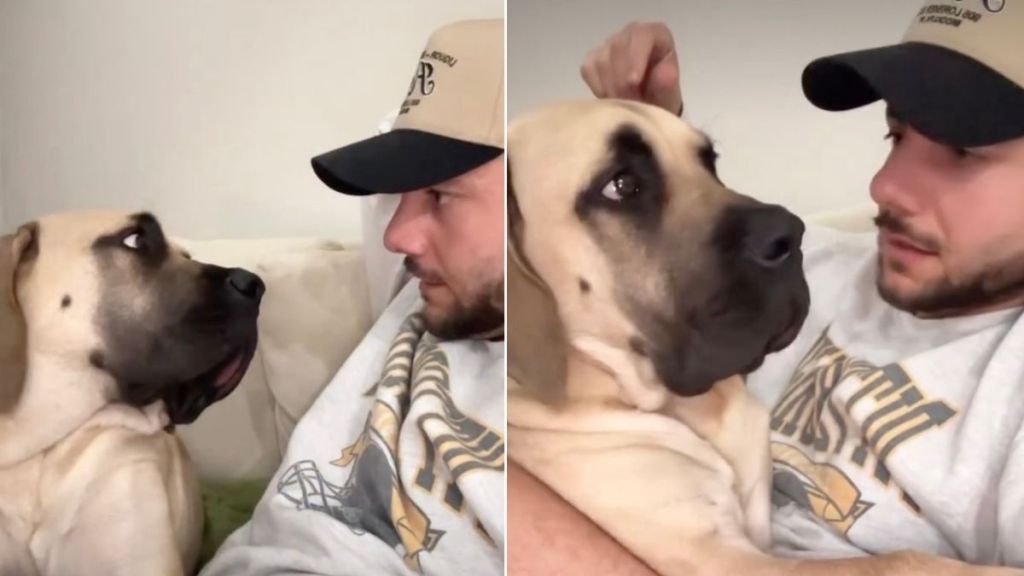 Dog Burps in Dad's Face While He's Lecturing Her About Personal Space
