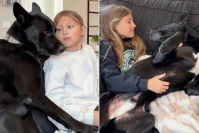 Dog Becomes Little Girl’s Shadow After She Rescues Him