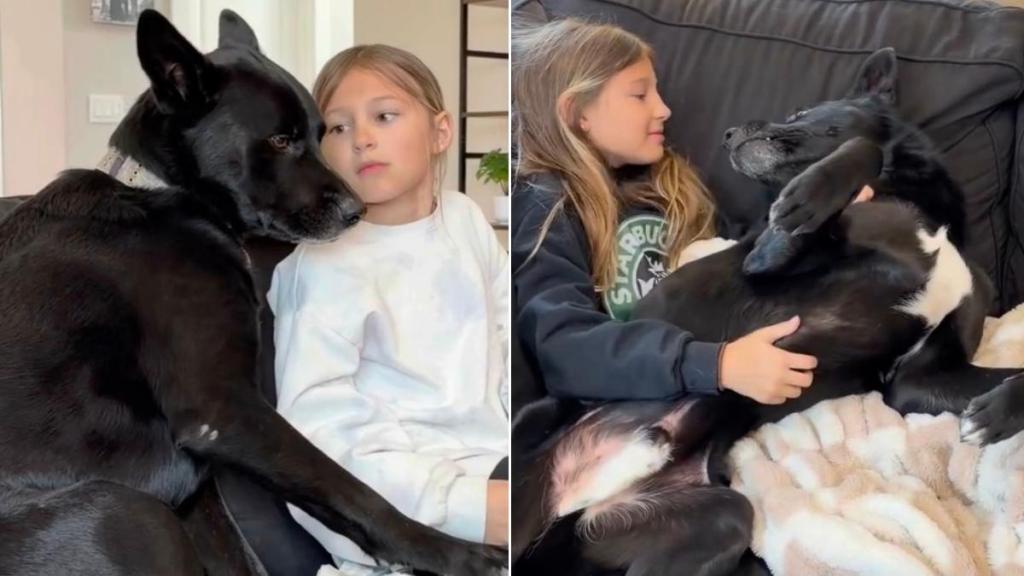Dog Becomes Little Girl’s Shadow After She Rescues Him