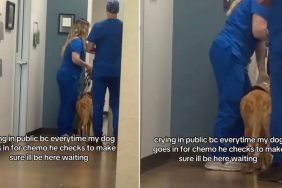 Dog Stops at Door & Looks Back at Mom, Making Sure She’s Still There Before Going in for Treatment